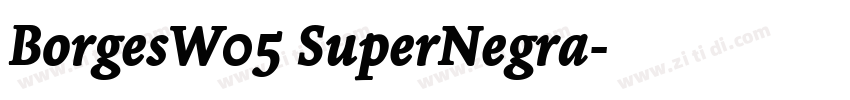 BorgesW05 SuperNegra字体转换 BorgesW05 SuperNegra字体转换